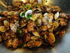 浩运蛤蜊-浩运·海鲜青岛菜·海胆水饺(石老人店)