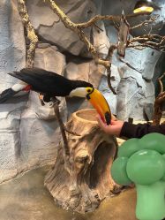 点击看大图 -Zoolung Zoolung动物主题公园(海信广场店)