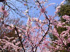 -东升八家郊野公园