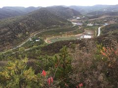 -五龙城郊森林公园
