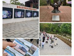 -广东惠东海龟国家级自然保护区