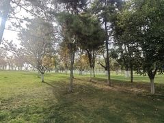 -汉长安城未央宫国家考古遗址公园