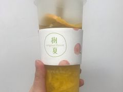 鲜芒椰汁牛乳-树夏(鹭洲里店)