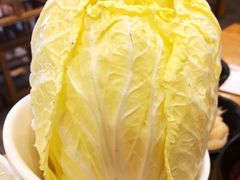大白菜-金生隆(六铺炕店)