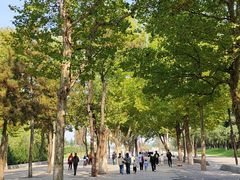 -汉长安城未央宫国家考古遗址公园