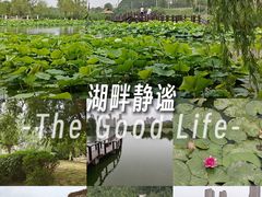 -前关湿地公园