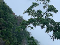 -庐山风景区花径公园