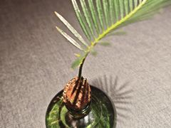 -南里山房·新淮扬菜(徐汇万科店)