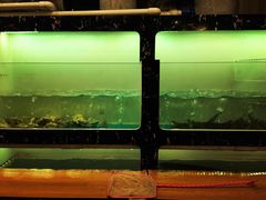 -草鱼先生潮州鱼生·虾生(新厦花园店)