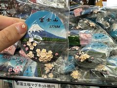 -河口湖车站