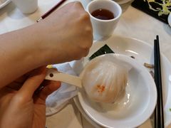 万山虾饺皇-万山楼海鲜酒家·二十三年老字号