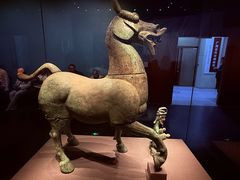 -广西壮族自治区博物馆