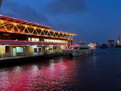 -武汉关码头(轮渡站)