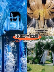 -DC大蔡婚礼策划(李公堤店)