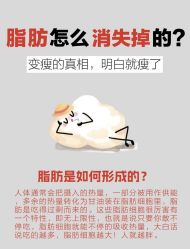 -Fundi张玉珊修身堂·indiba·BTL科技瘦身