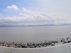 -深圳湾公园(南山区)