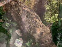 -下渚湖国家湿地公园科普馆