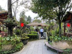 -青城甲(青城山店)