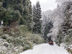 -武陵山森林公园