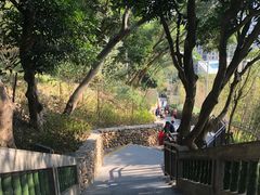 -仙岳公园