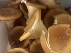-畲乡一品鱼府土菜馆