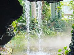 -郑州植物园