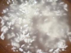 -袁家豆腐