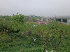 -秀丽东方