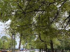 -西南政法大学(渝北校区)