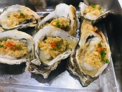 -蚝专家