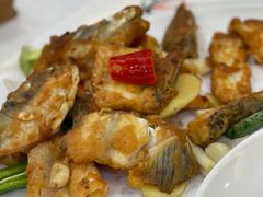-有腥气私房菜·寻味顺德