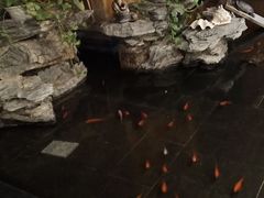 -盛彼得温泉度假酒店