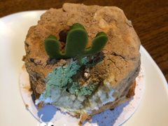 -星巴克(上海汇锦里店)
