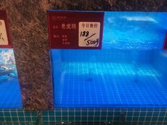-潮州府·潮菜·砂锅粥(徐家汇店)