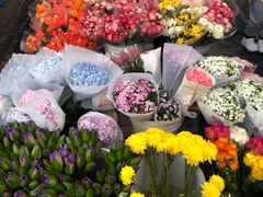 -秦美花卉(天朗·莱茵小城2期店)