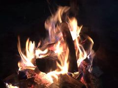 -帐篷客·溪龙茶谷度假酒店