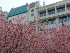-武汉大学-樱园