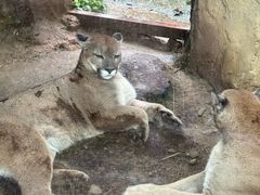 -杭州野生动物世界
