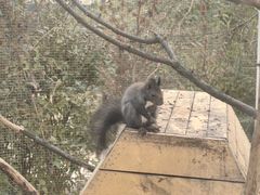 -金石滩蓝莓谷庄园