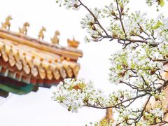 -故宫博物院(故宫)