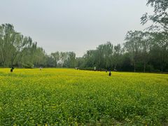 -北坞公园