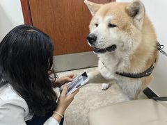 -美联众合动物医院·24h转诊中心