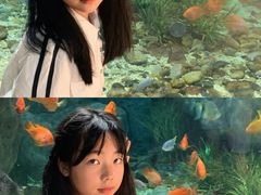 -福州罗源湾海洋世界旅游区