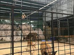 -八景休閒山莊  廣東十大名山莊