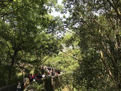 -台州府城(江南长城)