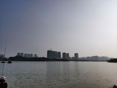 -飞来湖湿地公园