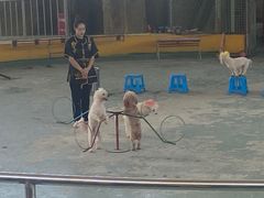 -泉州海丝野生动物世界