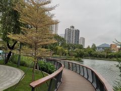 -四海公园(南山区)
