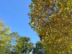 -长沙滨江文化园