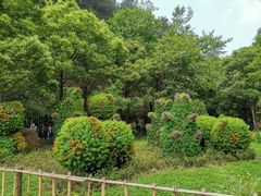 -黔灵山公园